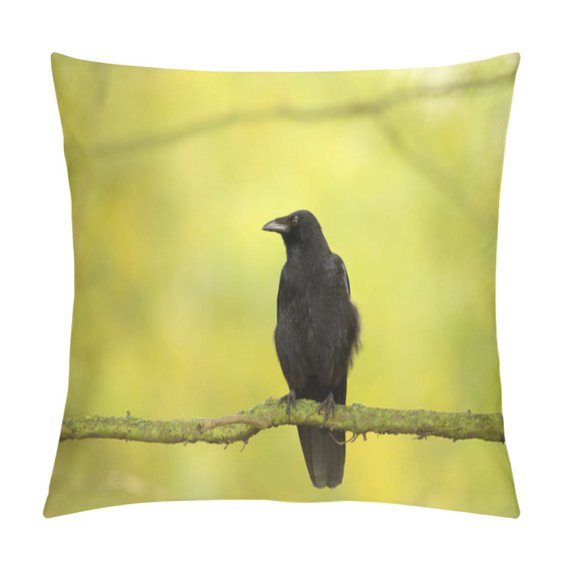 Personality  Close-up Of A Carrion Crow Perching On A Tree Branch Against Colourful Background, UK. Pillow Covers