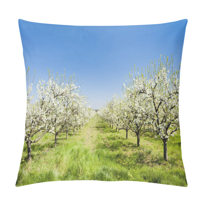 Personality  Blooming Apricot Orchard Pillow Covers