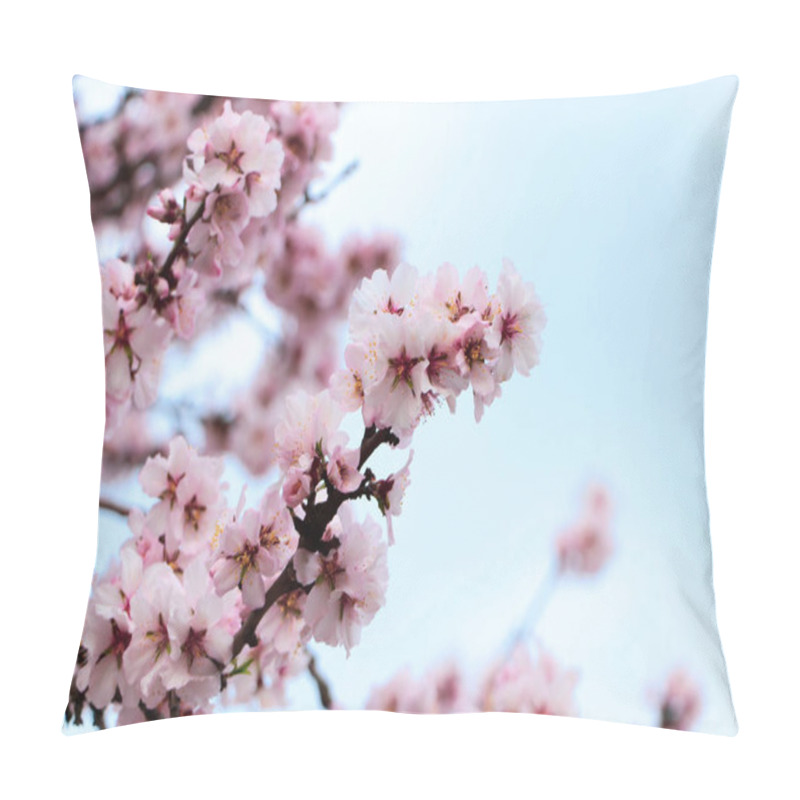 Personality  Delicate Spring Pink Cherry Blossoms On Tree Outdoors Pillow Covers