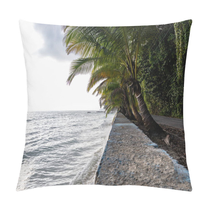 Personality  Sea Shore View With Coconut Tree At Morning From Flat Angle Image Is Taken At Kala Pathar Beach Havelock Andaman And Nicobar Islands. Pillow Covers