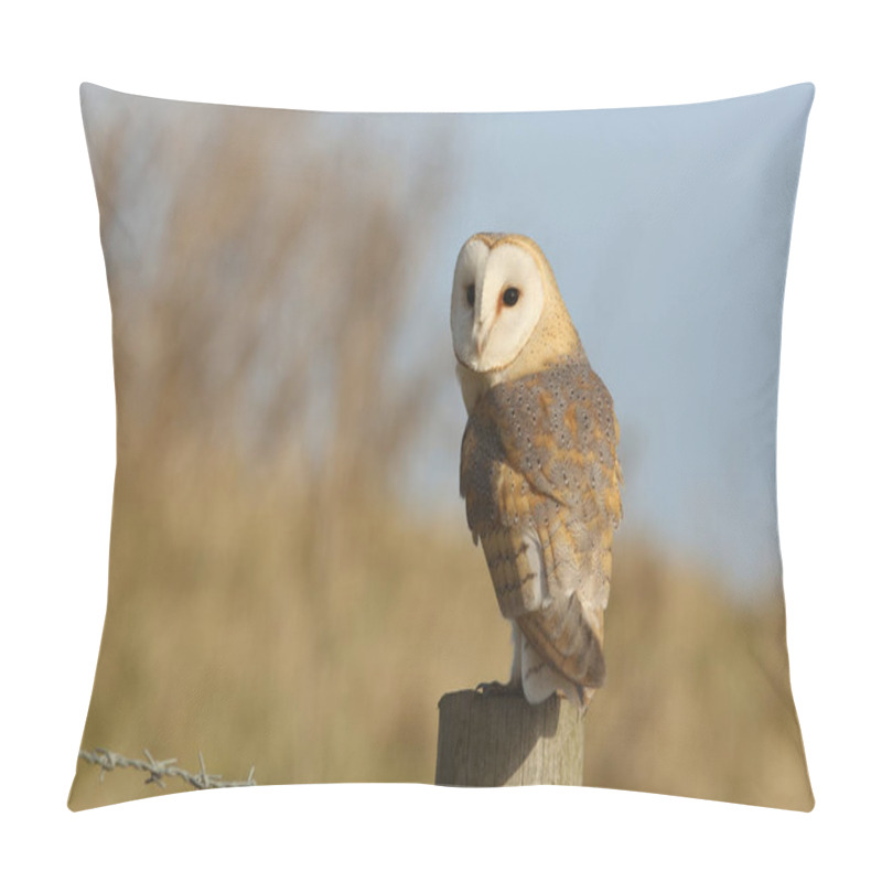 Personality  A Hunting Wild Barn Owl (Tyto Alba) Perched On A Post Looking For Its Prey. Pillow Covers