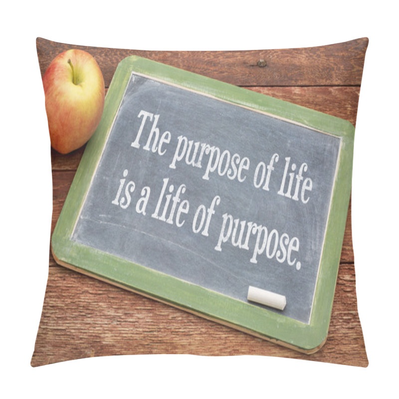 Personality  The Purpose Of Life Concept Pillow Covers