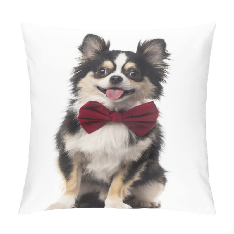 Personality  Chihuahua Sitting And Wearing A Bow Tie In Front Of A White Back Pillow Covers