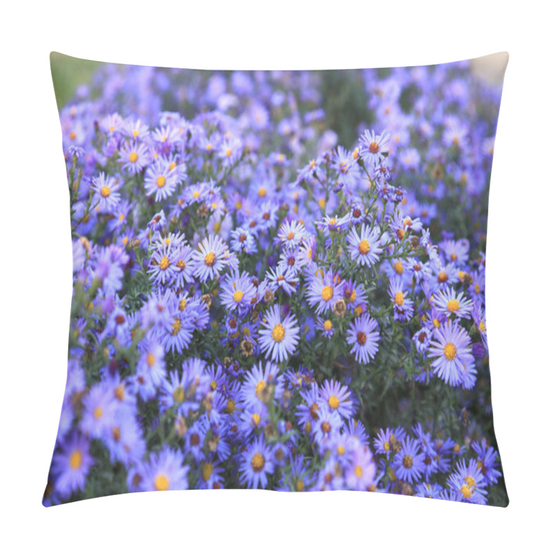 Personality  Small Purple Asters Wildflowers Background Pillow Covers