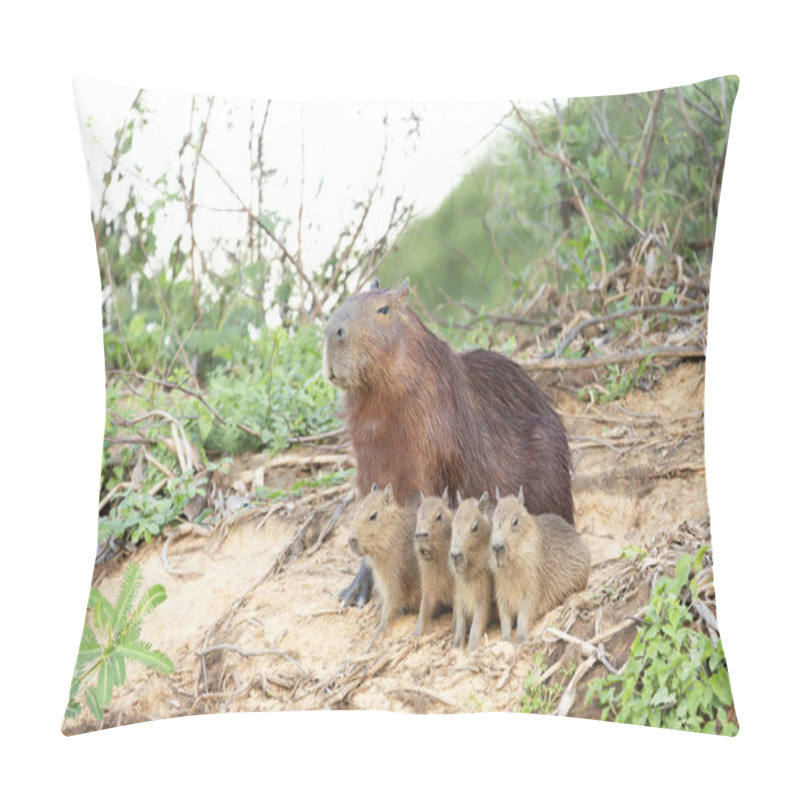 Personality  Capybara Mother With Four Pups Sitting On A River Bank Pillow Covers