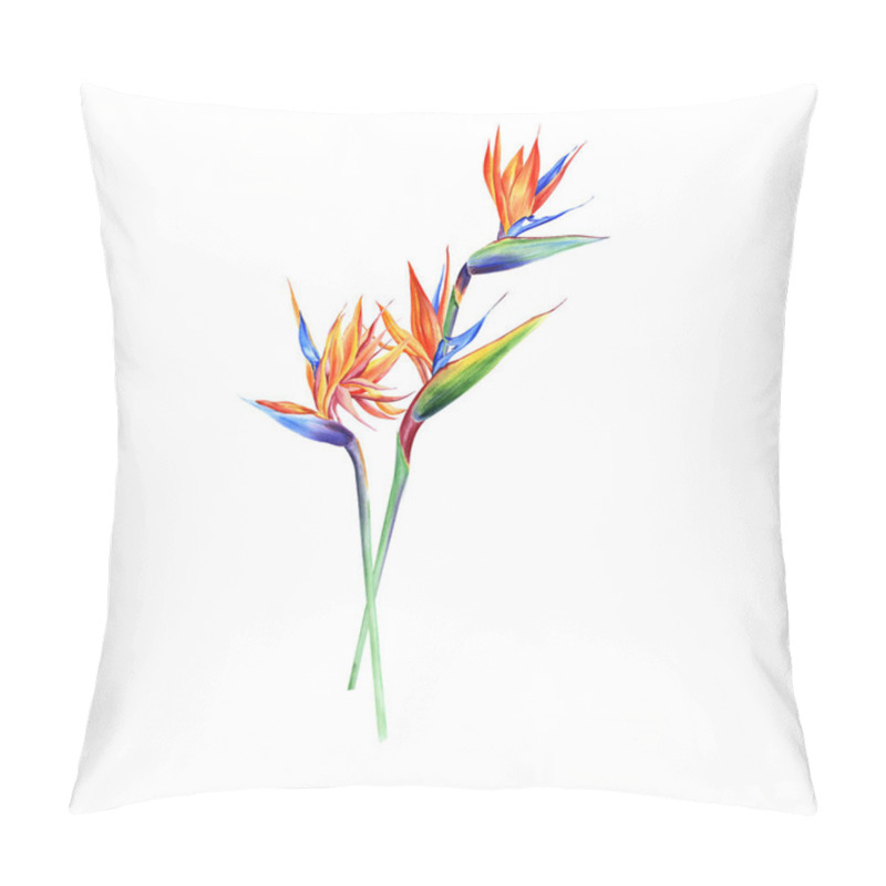 Personality  Watercolor Bouquets With Tropical Plants, Leaves And Strelitzia Flowers. Great For Valentines, Wedding Invites, Hawaii Birthday And Beach Party Pillow Covers