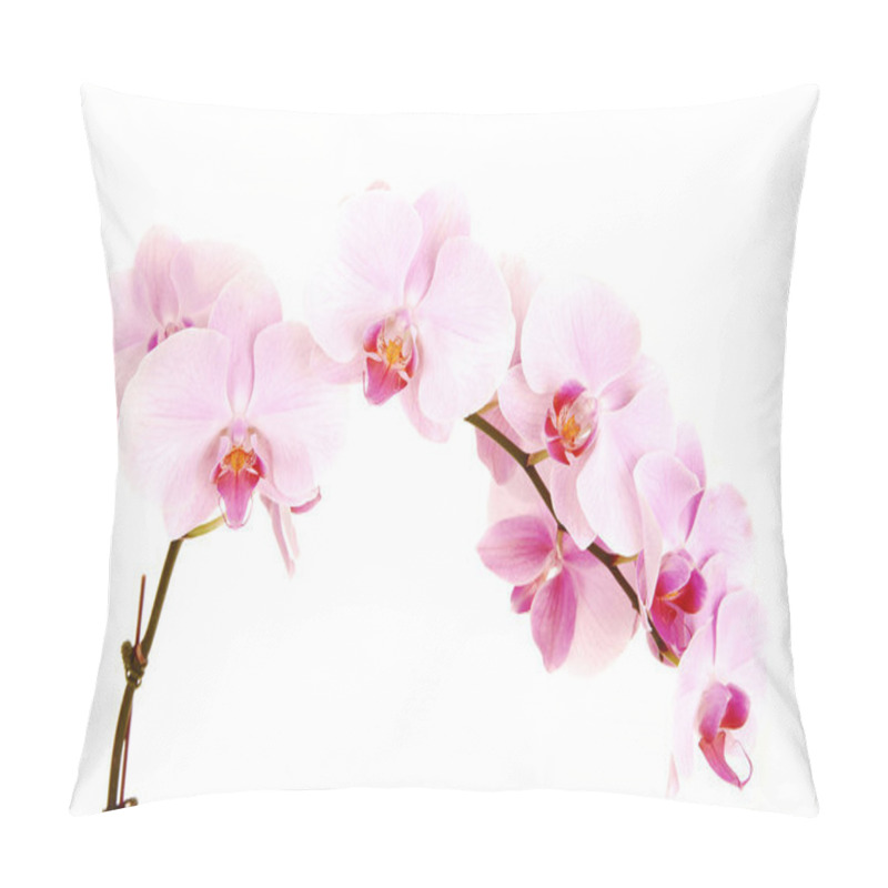 Personality  Stem Of Orchids. Pillow Covers