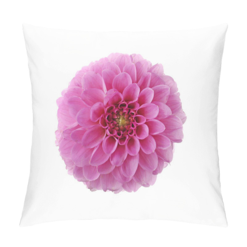 Personality  Beautiful Pink Dahlia Flower Isolated On White Pillow Covers