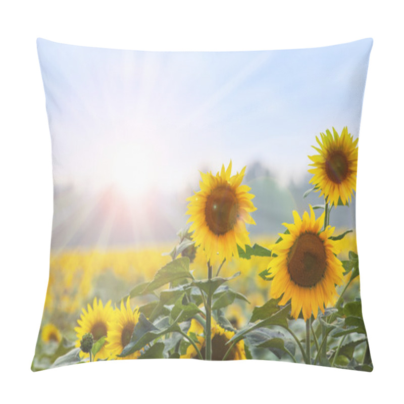 Personality  Summer Time: Three Sunflowers At Dawn With Natural Backgroung Pillow Covers