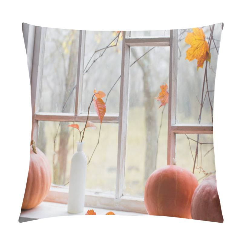 Personality  Orange Pumpkin On Windowsill  Pillow Covers