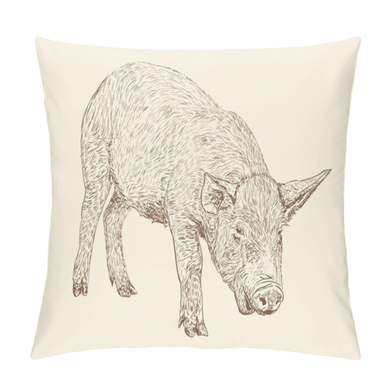 Personality  Swine Pillow Covers