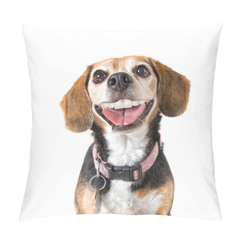 Personality  Beagle With A Big Grin Pillow Covers