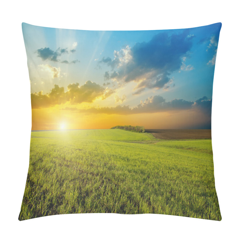 Personality  Sunset Over Agricultural Green Field Pillow Covers