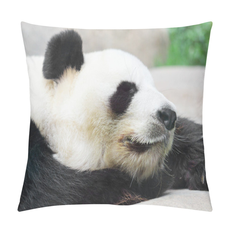 Personality  Sleeping Panda Pillow Covers