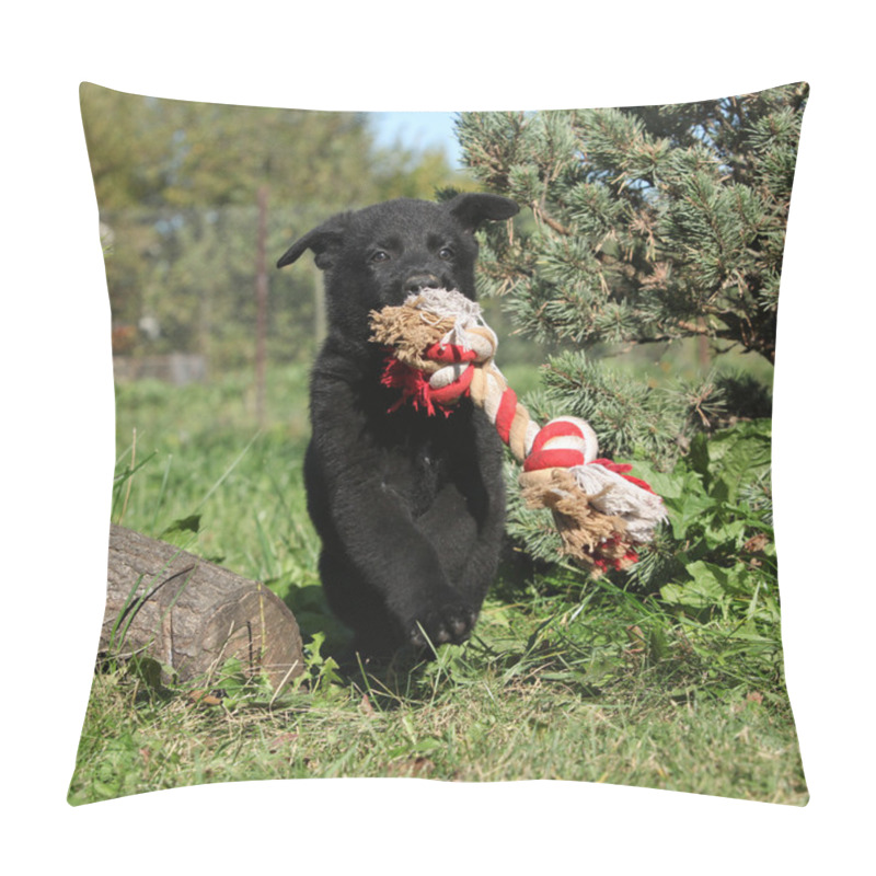 Personality  Amazing Puppy Of German Shepherd Jumping With A Toy Pillow Covers