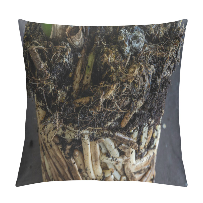 Personality  Interlaced Home Orchid Flower Roots Pillow Covers