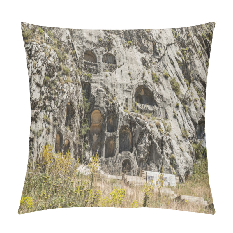 Personality  Antonine Nymphaeum At Sagalassos, Turkey  Pillow Covers