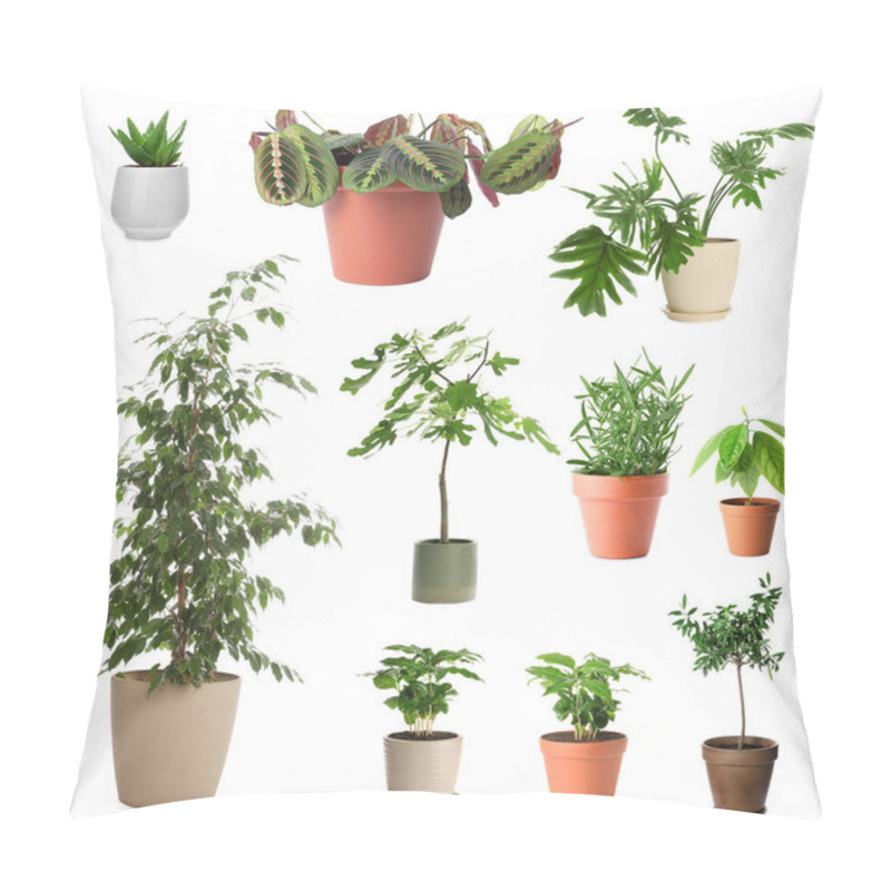 Personality  Set Of Different Houseplants In Flower Pots On White Background Pillow Covers