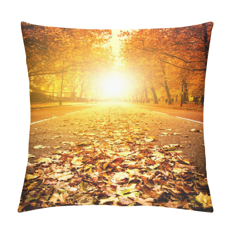 Personality  Fallen Leaves On A Street In London Pillow Covers