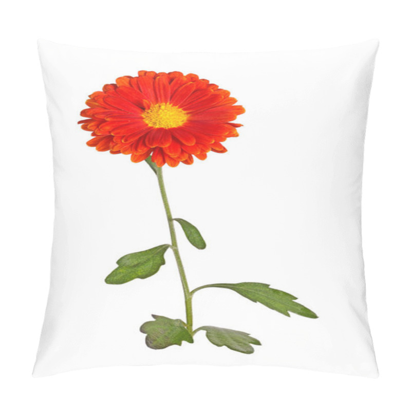 Personality  Single Stem With Leaves And An Orange And Yellow Flower Of The Fall Chrysanthemum (Chrysanthemum Indicum) Isolated Against A White Background Pillow Covers