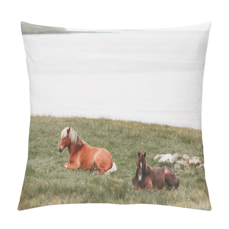 Personality  Horses Pillow Covers