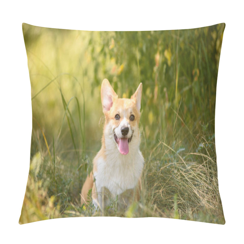 Personality  Puppy Corgi In A Sunny Meadow. Summer Walk. Pillow Covers