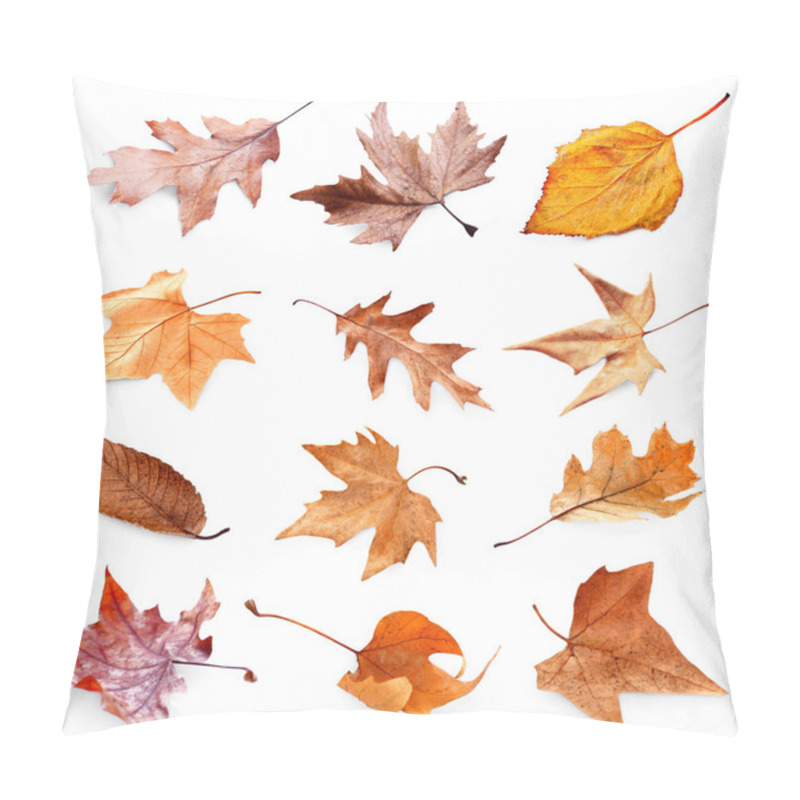 Personality  Collection Of Autumn Dried Leaves Pillow Covers