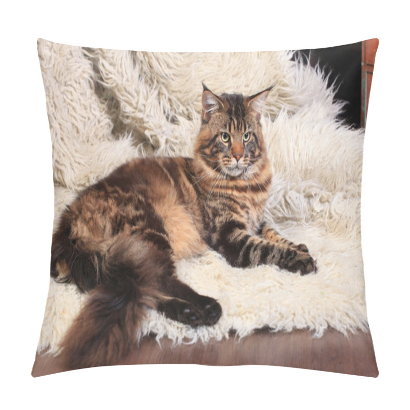 Personality  Brown Tabby Maine Coon Pillow Covers