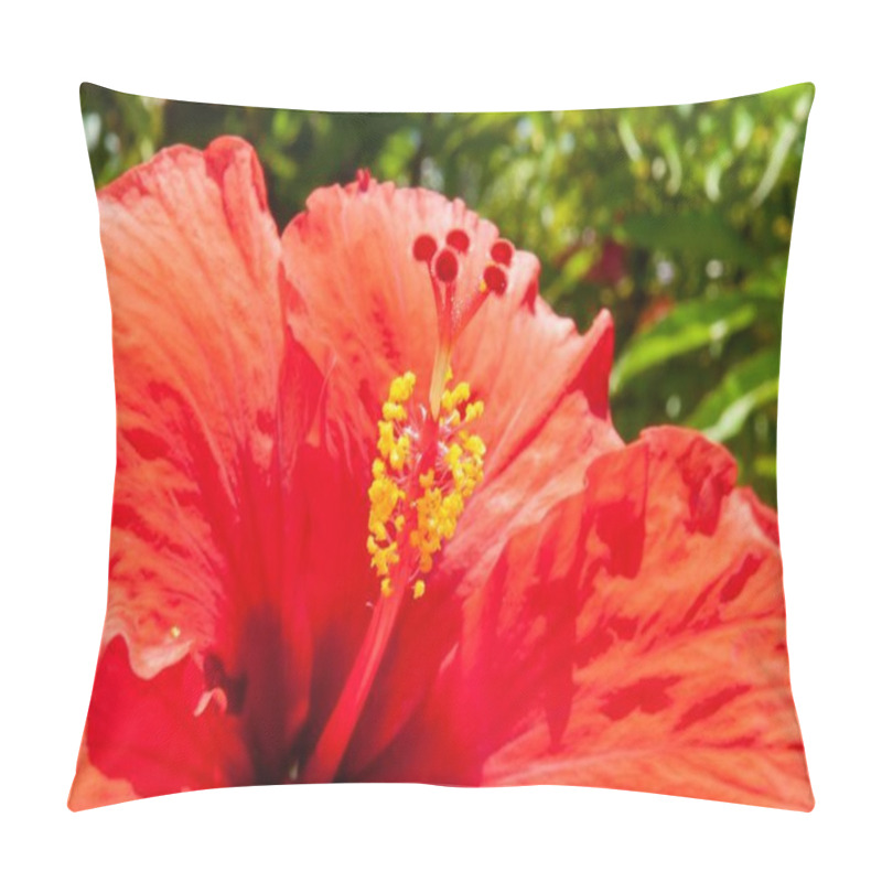 Personality  A Macro Shot Of The Blossomed, Red Hibiscus Rosa-Sinensis Flower Pillow Covers