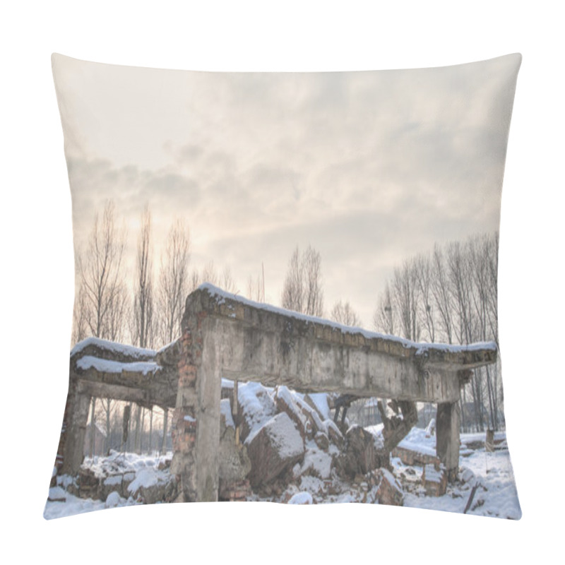 Personality  The Auschwitz-Birkenau State Museum Pillow Covers