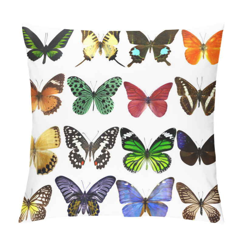 Personality  Collection Of Beautiful Tropical Butterflies Isolated On White Background Pillow Covers