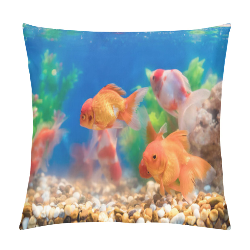 Personality  Goldfish In Freshwater Aquarium With Green Beautiful Planted Tro Pillow Covers