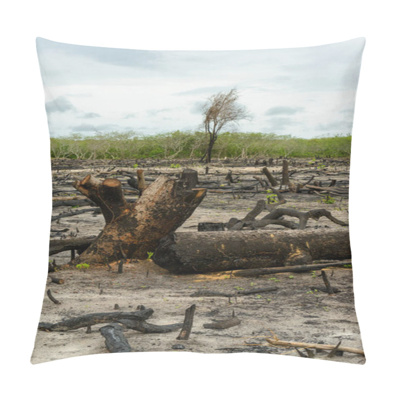 Personality  Deforestation Of Native Forest In Camocim, Ceara, Brazil, On January 25, 2023. Pillow Covers