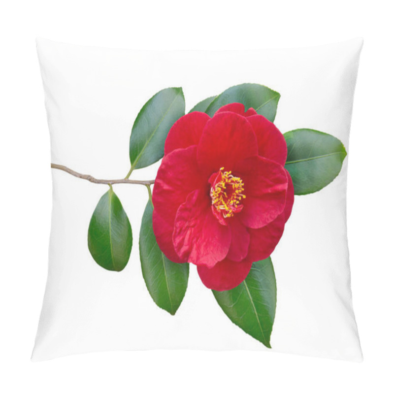 Personality  Red Camellia Semi-double Form Open Flower And Leaves Isolated On White. Japanese Symbol Of Love.   Pillow Covers