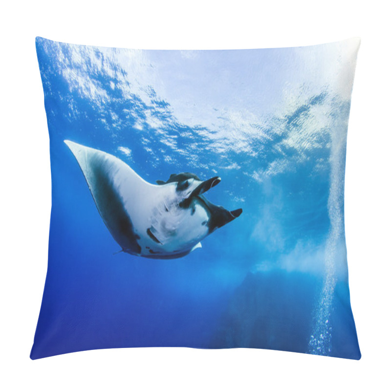 Personality  Manta Ray At Islas Revillagigedos, Mexico Pillow Covers