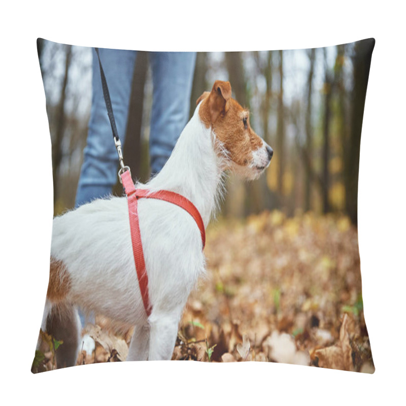 Personality  Dog Walking In Autumn Park With Leaves Pillow Covers