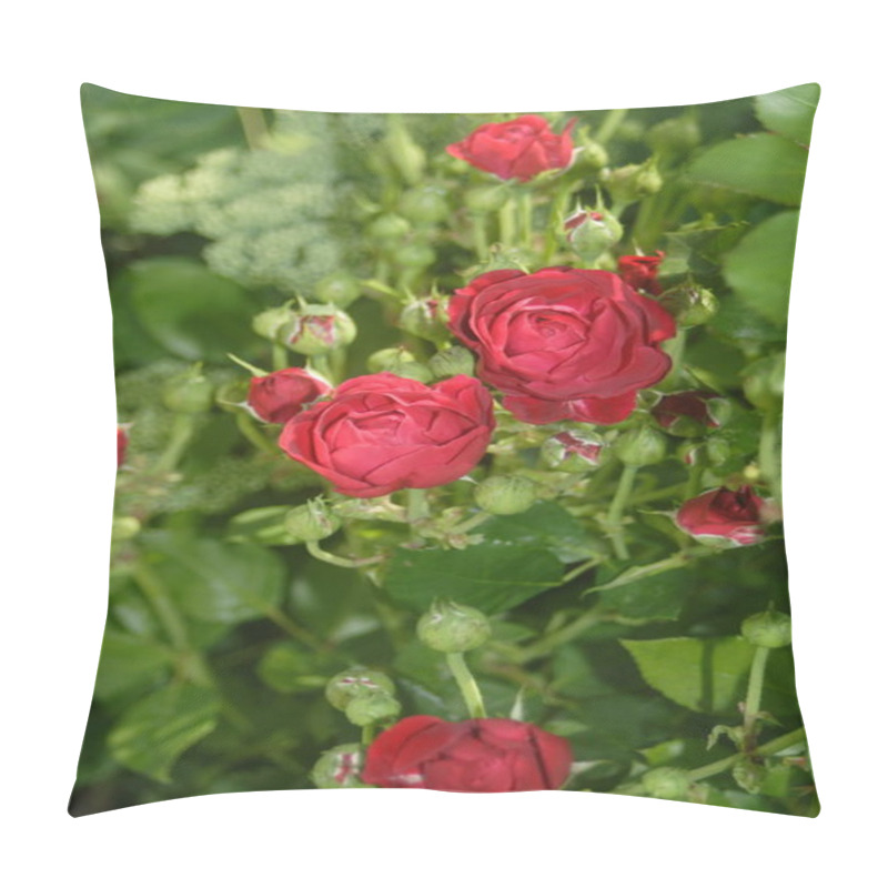 Personality  Beautiful Botanical Shot, Natural Wallpaper Pillow Covers