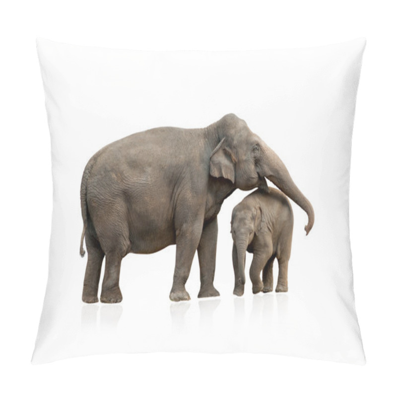 Personality  Elephant Female With Baby Isolated Pillow Covers