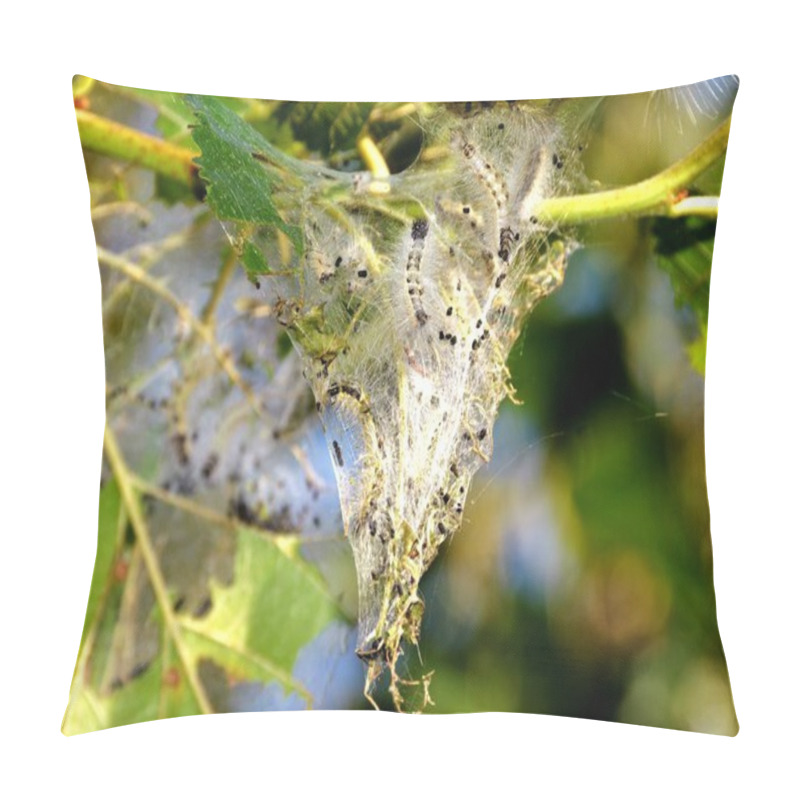 Personality  Caterpillar Nest With Canvas In The Tree Pillow Covers