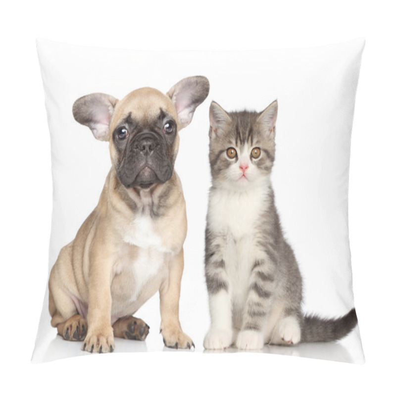 Personality  Puppy And Kitten Pillow Covers