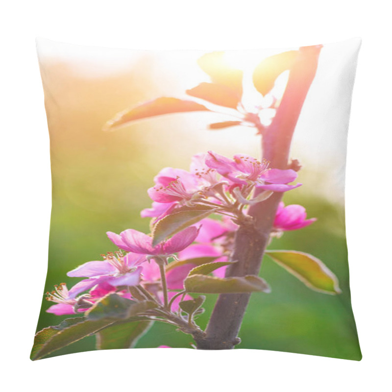 Personality  Spring Flowering Wild Apples In The Garden. Pollination Of Flowe Pillow Covers