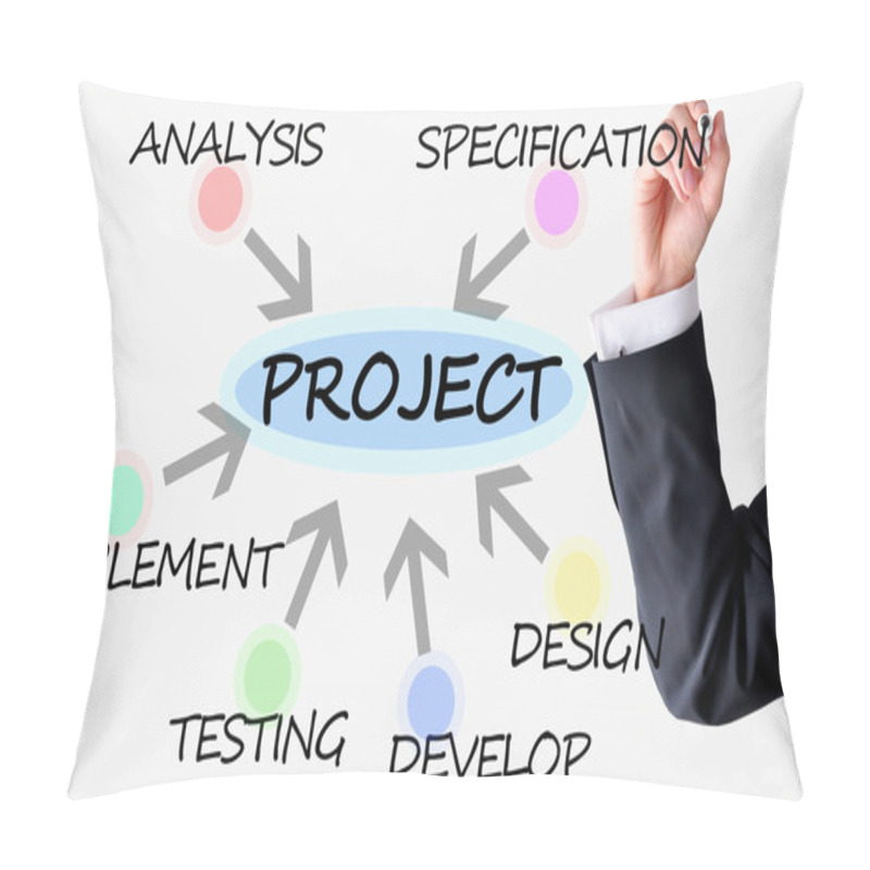 Personality  Project Management Vs Software Implementation Pillow Covers