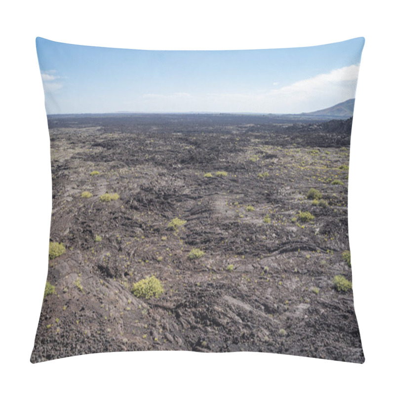 Personality  Vast, Arid Volcanic Landscape In Craters Of The Moon National Mo Pillow Covers