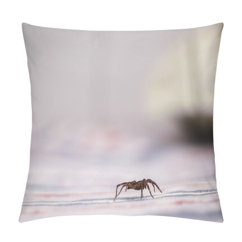 Personality  Brown Spider, Poisonous Arachnid Walking On The Furniture Of A House. Risk Concept, Danger Indoors, Arachnophobia. Pillow Covers