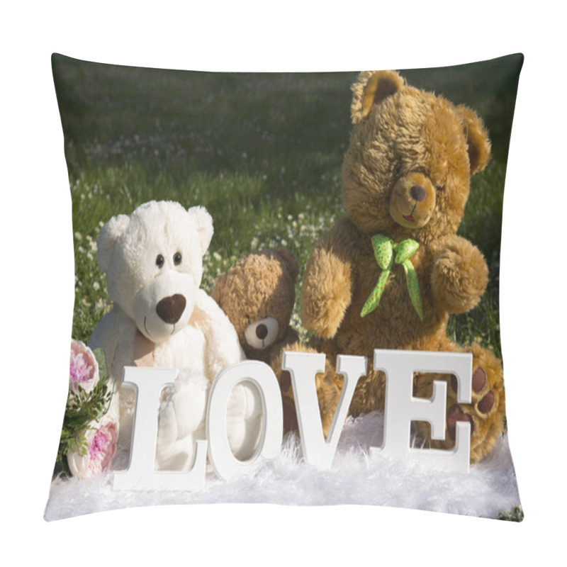 Personality  Feast Of Lovers, Meadow Full Of Flowers And Daisies, Plush Bears For Love Pillow Covers