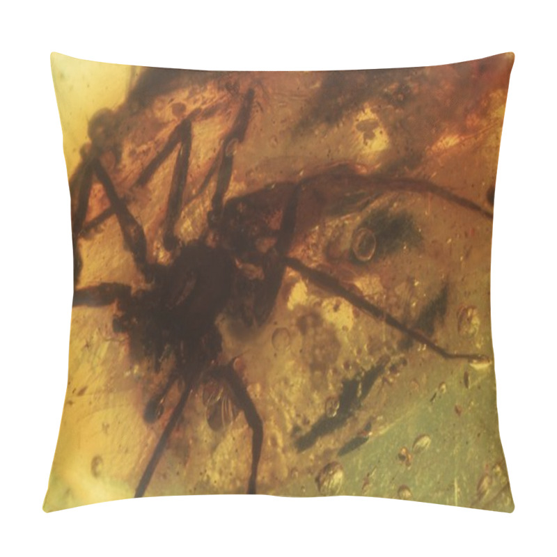 Personality  An Spider In A Piece Of Baltic Amber, Gdansk, Poland Pillow Covers