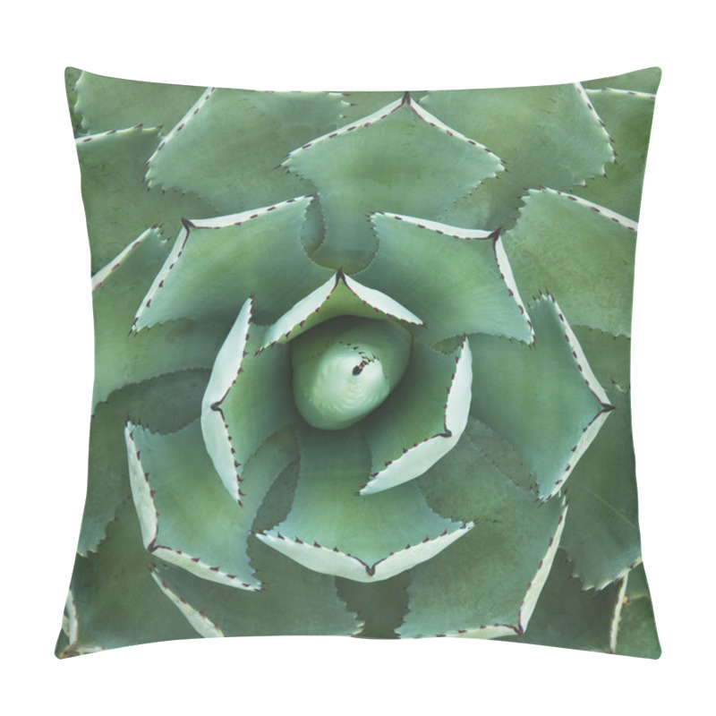 Personality  Cactus Pillow Covers