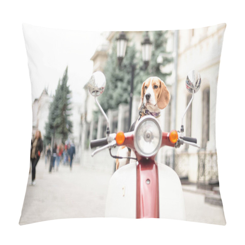 Personality  Beagle Dog On A Scooter On A City Street Pillow Covers