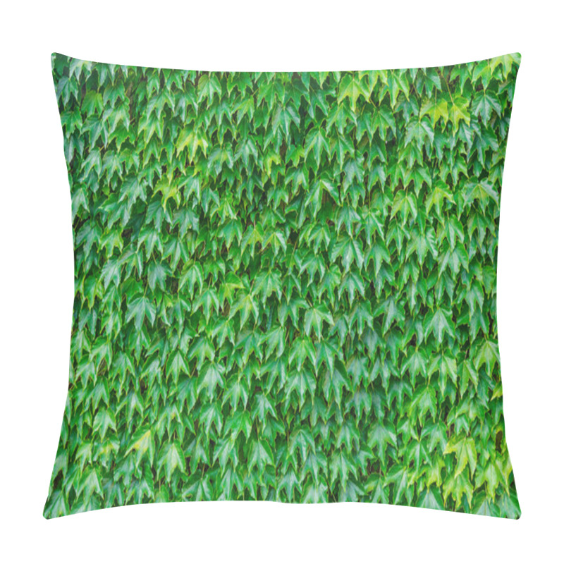 Personality  Ivy Background Pillow Covers