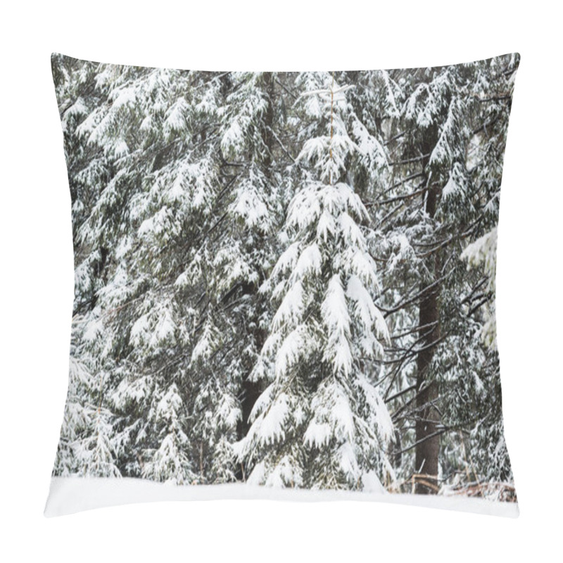 Personality  Pine Trees Covered With Snow In Winter Forest Pillow Covers